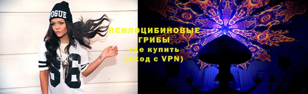 ешки Елизово
