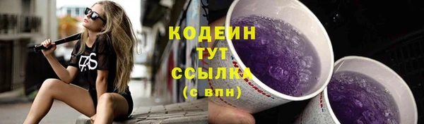 ешки Елизово