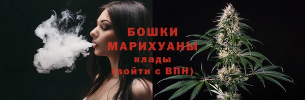 apvp Елабуга