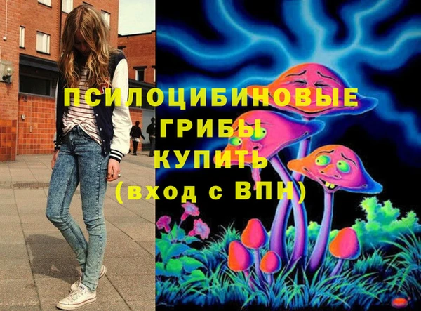 apvp Елабуга