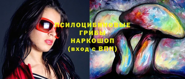 ешки Елизово
