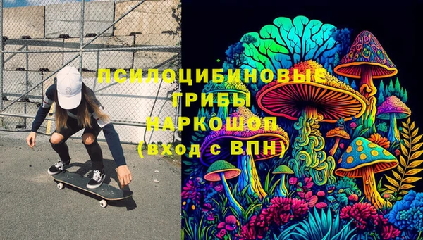 apvp Елабуга